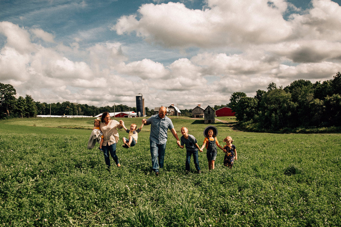 Introducing Farmstead 1868