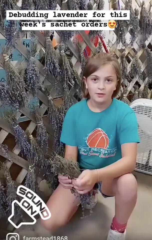 Lavender Debudding How To with the Cody Two
