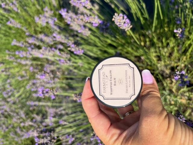Discover the Benefits of Farmstead 1868 Lavender Whipped Tallow Balm