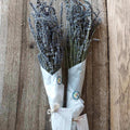 Dried Phenomenal and English Lavender Bunches - Farmstead 1868