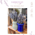 Momma Pot Handcrafted Pottery Vessel - Farmstead 1868